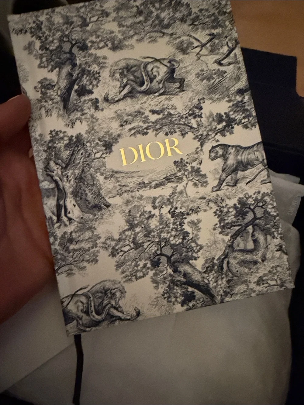 Dior notebook